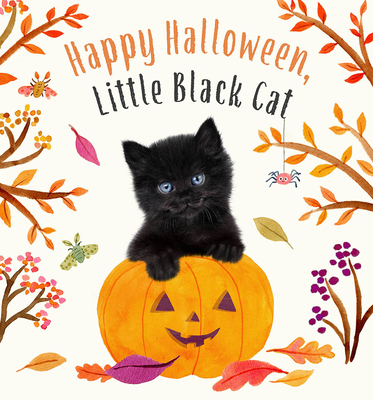Happy Halloween, Little Black Cat: A Board Book (Baby Animal Tales)