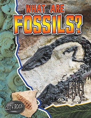 What Are Fossils? (Let's Rock!) Cover Image