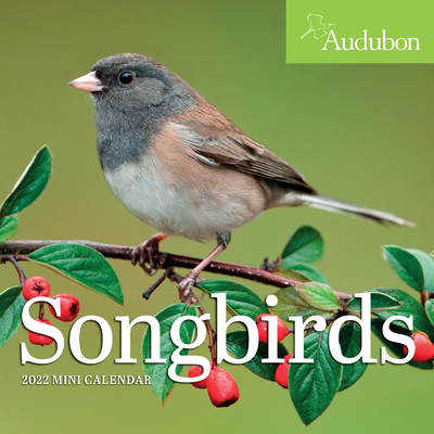 Audubon Songbirds Mini Wall Calendar 2022 By National Audubon Society, Workman Calendars Cover Image