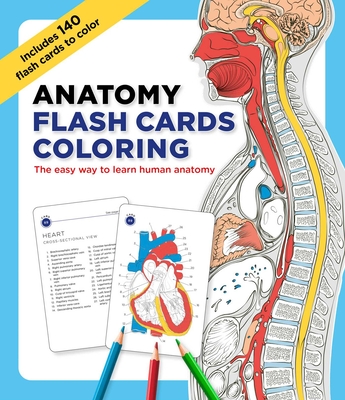 Anatomy Flash Cards Coloring By Editors of Thunder Bay Press Cover Image