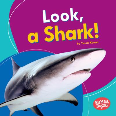 Look, a Shark! Cover Image