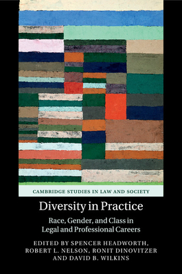 Diversity in Practice: Race, Gender, and Class in Legal and Professional Careers (Cambridge Studies in Law and Society) Cover Image