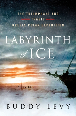 Cover for Labyrinth of Ice