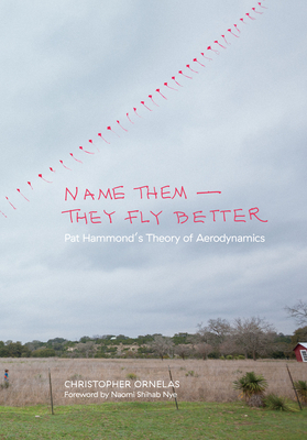 Cover for Name Them--They Fly Better