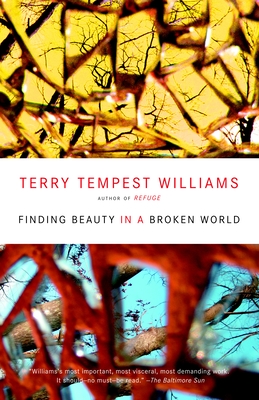 Finding Beauty in a Broken World Cover Image