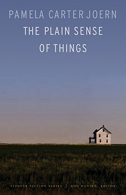 The Plain Sense of Things (Flyover Fiction)
