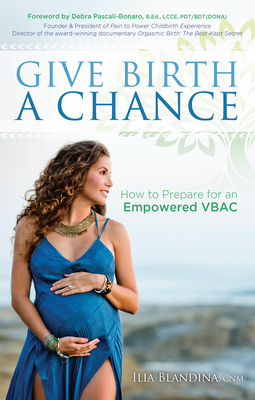 Give Birth a Chance: How to Prepare for an Empowered Vbac Cover Image