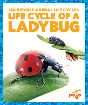 Life Cycle of a Ladybug (Incredible Animal Life Cycles)