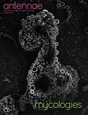 Antennae #58 Mycologies Cover Image