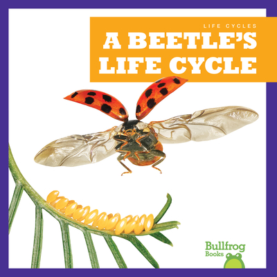 A Beetle's Life Cycle (Life Cycles)