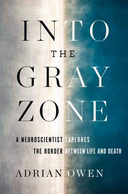 Into the Gray Zone