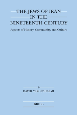The Jews of Iran in the Nineteenth Century (Paperback): Aspects of History, Community, and Culture By David Yeroushalmi Cover Image
