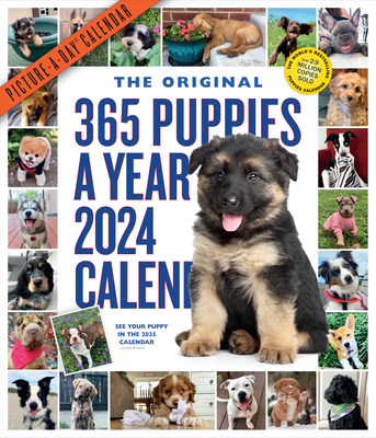 365 Puppies-A-Year Picture-A-Day Wall Calendar 2024: Absolutely Spilling Over With Puppies