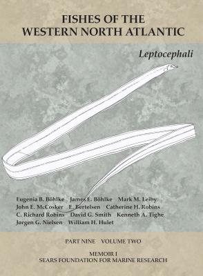 Cover for Leptocephali