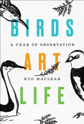 Birds Art Life: A Year of Observation By Kyo Maclear Cover Image