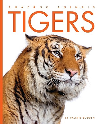 Tigers (Amazing Animals) (Hardcover) | Barrett Bookstore