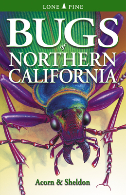 Bugs of Northern California By John Acorn, Volker Bodegom Cover Image