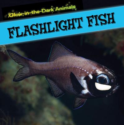 Flashlight Fish (Glow-In-The-Dark Animals) By Caitie McAneney Cover Image