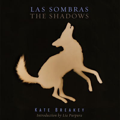 Las Sombras/The Shadows (Southwestern & Mexican Photography Series, The Wittliff Collections at Texas State University)