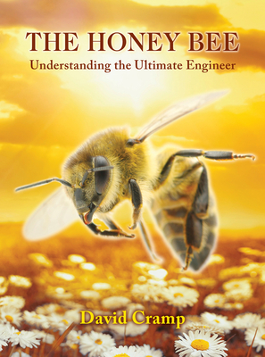 The Honey Bee: Understanding the Ultimate Engineer