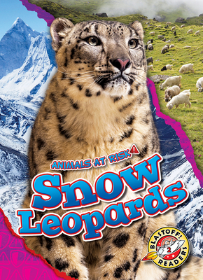 Snow Leopards (Animals at Risk) By Rachel Grack Cover Image