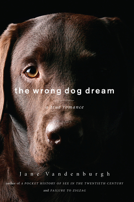 The Wrong Dog Dream Cover