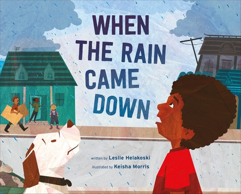 When the Rain Came Down Cover Image