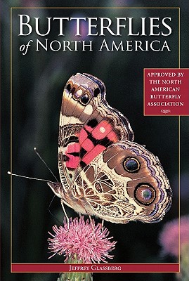 Butterflies of North America By Jeffrey Glassberg Cover Image