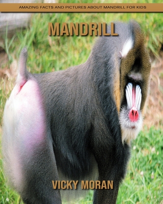 Mandrill Amazing Facts And Pictures