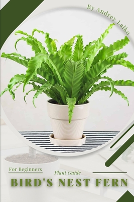 Bird's Nest Fern: Prodigy Petal, Plant Guide By Petal Prodigy Cover Image