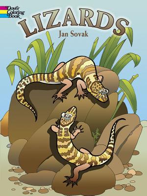 Lizards Coloring Book (Dover Nature Coloring Book)