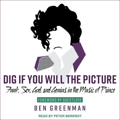 Cover for Dig If You Will the Picture