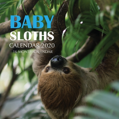 Baby Sloths Calendar 2020: 16 Month Calendar