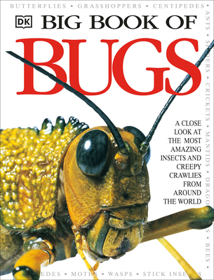 Big Book of Bugs (DK Big Books) By DK Cover Image