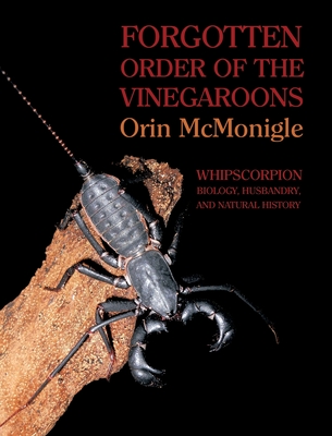 Forgotten Order of the Vinegaroons: Whipscorpion Biology, Husbandry, and Natural History By Orin McMonigle Cover Image