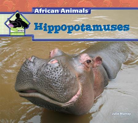 Hippopotamuses (African Animals) Cover Image