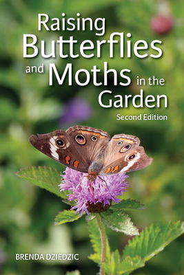 Raising Butterflies and Moths in the Garden By Brenda Dziedzic Cover Image