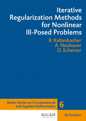 Iterative Regularization Methods for Nonlinear Ill-Posed Problems ...