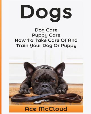 Dogs: Dog Care: Puppy Care: How To Take Care Of And Train Your Dog Or Puppy Cover Image