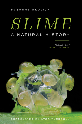 Slime is all around and inside you – new research on its origins