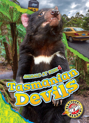 Tasmanian Devils (Animals at Risk) Cover Image