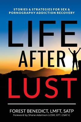 Life After Lust: Stories & Strategies for Sex & Pornography Addiction Recovery Cover Image