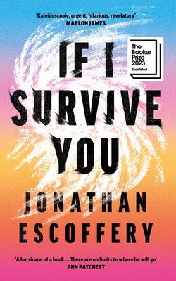 If I Survive You Cover Image