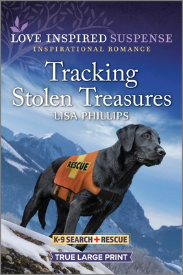 Tracking Stolen Treasures Cover Image