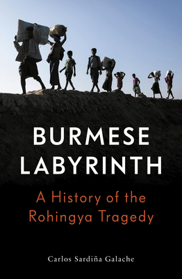 The Burmese Labyrinth Cover Image