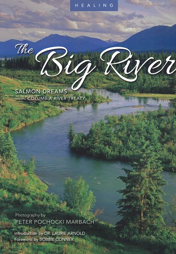 Healing the Big River: Salmon Dreams and the Columbia River Treaty Healing the Big River: Salmon Dreams and the Columbia River Treaty cover