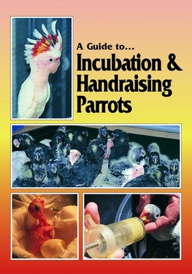 A Guide to Incubation & Handraising Parrots By Phil Digney Cover Image