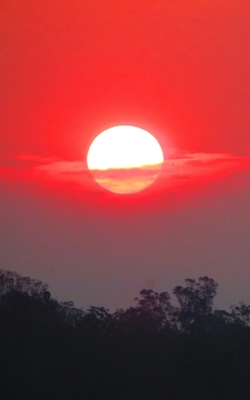 Notebook: Bush Fire Sunset Over Ipswich Queensland Cover Image