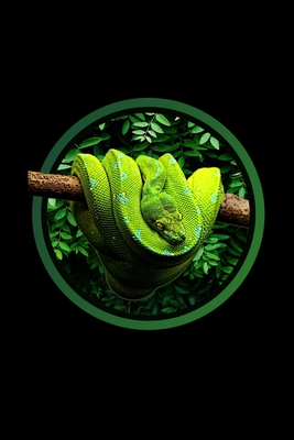 Green Tree Python Notebook: Do you have a passion for green tree pythons or morelia viridis? This chondro notebook makes the perfect gift for any Cover Image