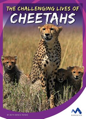 The Challenging Lives of Cheetahs (Stories from the Wild Animal Kingdom)  (Library Binding) | Hooked